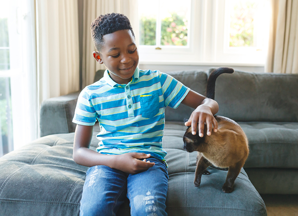 teach kids to stay safe around Pets