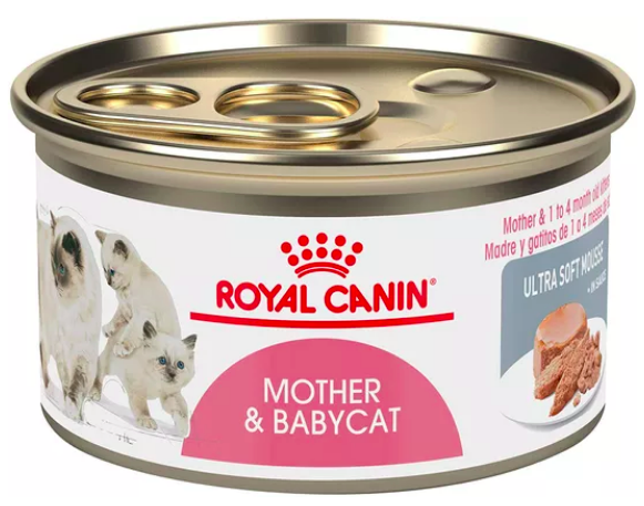 Best for Your Weaning Kittens: The Royal Canin Mother & Babycat Canned Wet Cat Food