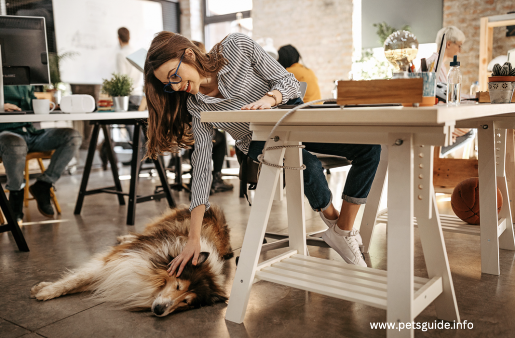 Pet-friendly offices