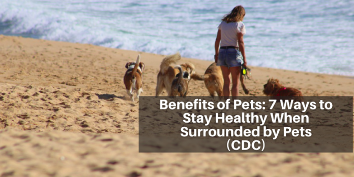 Benefits of Pets: 7 Ways to Stay Healthy When Surrounded by Pets (CDC)