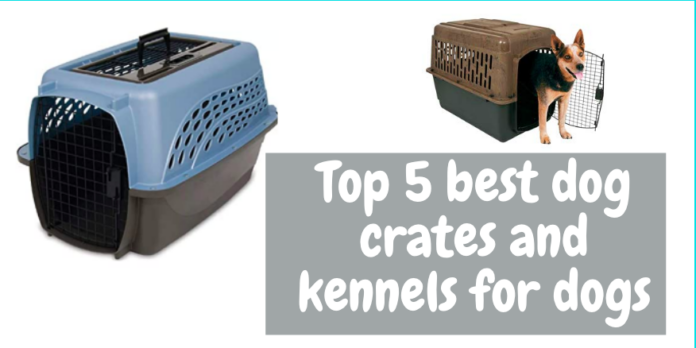 Top 5 best dog crates and kennels for dogs