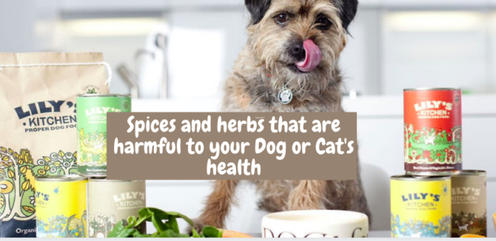 Spices and herbs that are harmful to your Dog or Cat's health