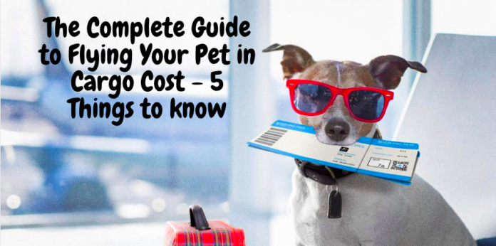 The Complete Guide to Flying Your Pet in Cargo Cost - 5 Things to know