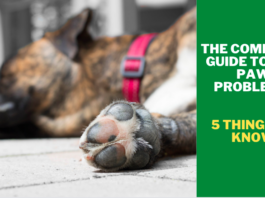 The Complete Guide to Dog Paw Problems