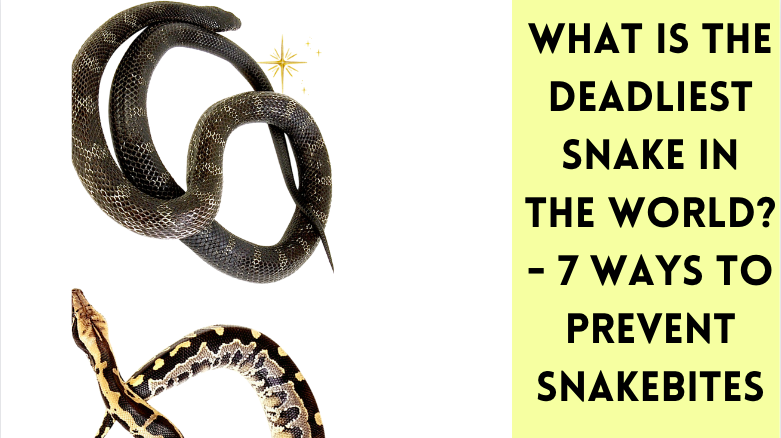 What is the deadliest snake in the World? - 7 Ways to Prevent snakebites