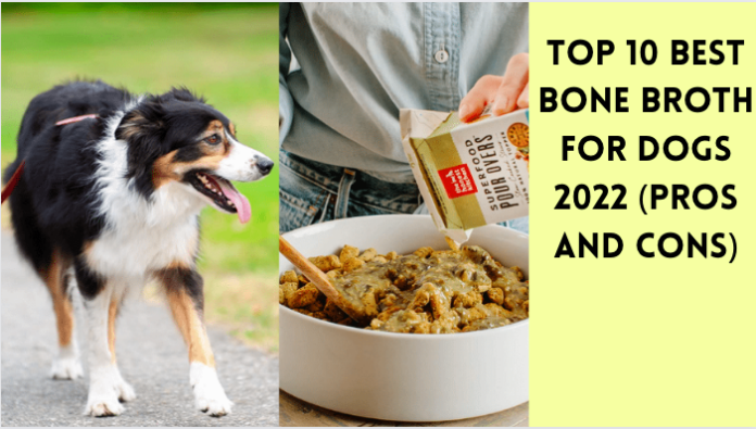 Top 10 Best Bone Broth for Dogs 2022 (Pros and Cons)