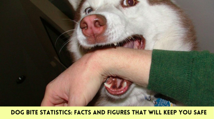 Dog Bite Statistics: Facts and Figures that will Keep You Safe