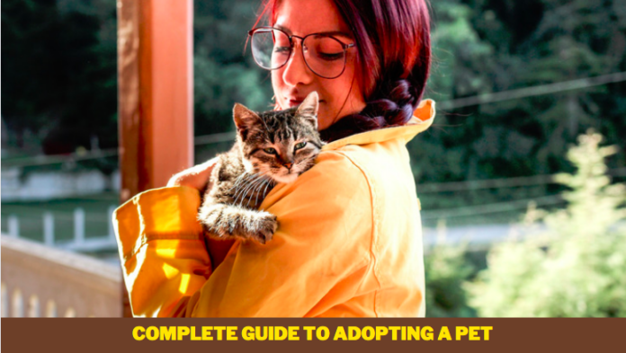 Complete Guide to Adopting a Pet – 7 Tips to Finding a Perfect Pet for You