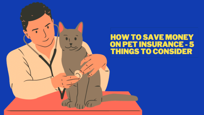 How To Save Money On Pet Insurance - 5 Things to Consider