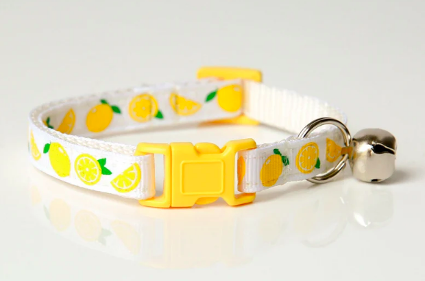 Colourfull Handmade Cat Collar, Summer Design 