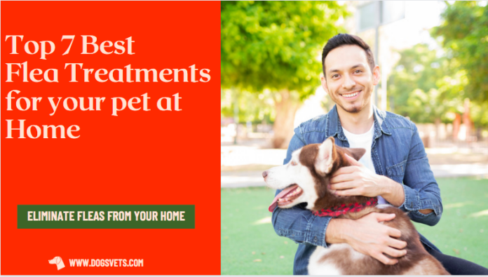 Top 7 Best Flea Treatments for your pet at Home