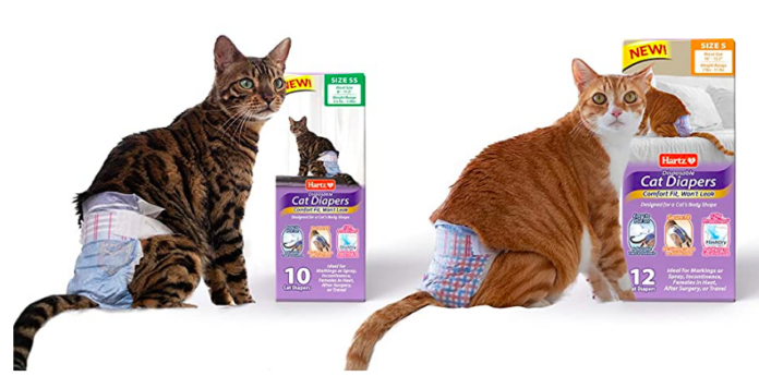 Cat diapers ultimate guide 2022 [+ Pros and Cons for using Pet Diapers]