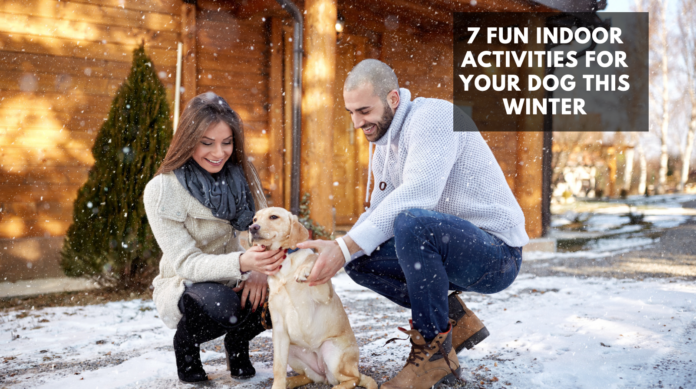 7 Fun Indoor Activities for Your Dog This Winter