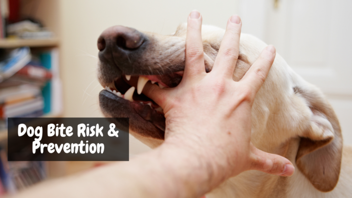 Dog Bite Risk and Prevention: 10 Dog Breeds Implicated in Serious Bite Injuries