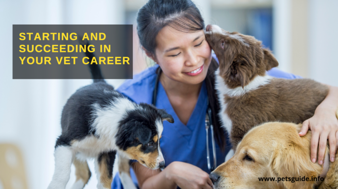 Starting and Succeeding in Your Vet Career