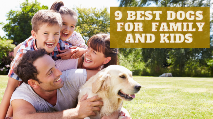 9 best dogs for family and kids