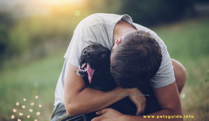 Understanding How Dogs Cry For Help - 5 Dog Distress Signals