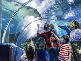 Aquarium ku Cleveland - Zonse Zomwe Muyenera Kudziwa