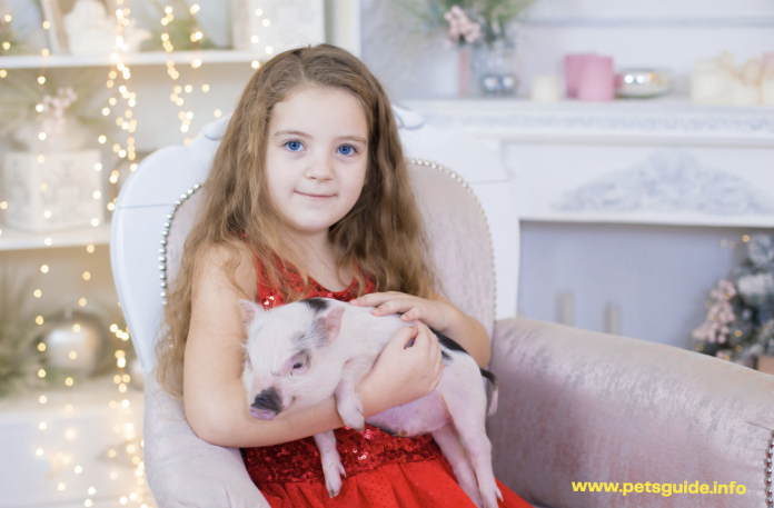 How Much Does a Mini Pig Cost?