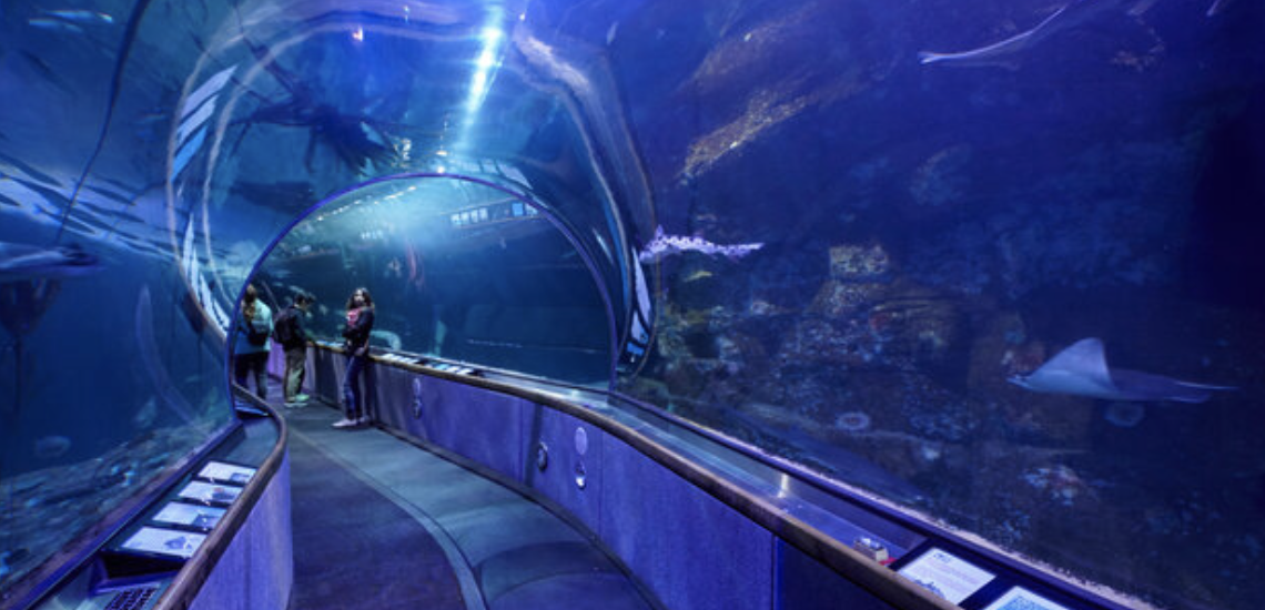 Long Beach, California aquarium