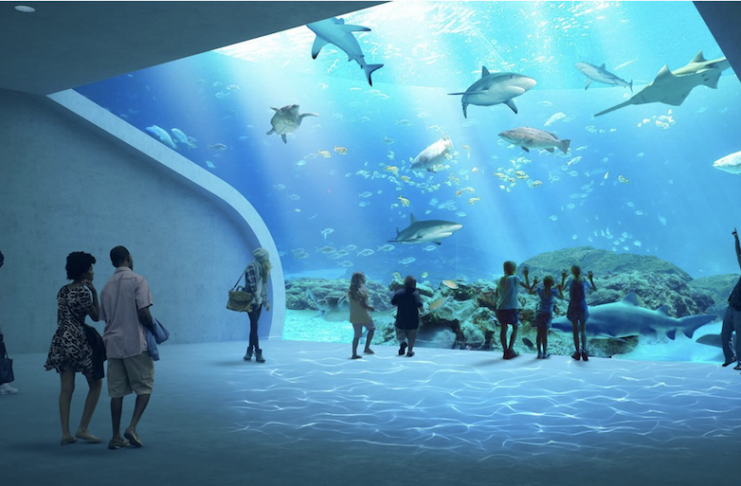 Motes Aquarium - Everything You Need to Know