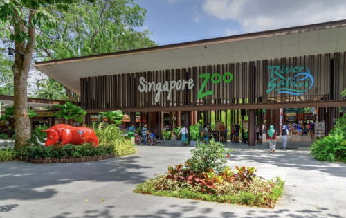 Zoo w Singapurze