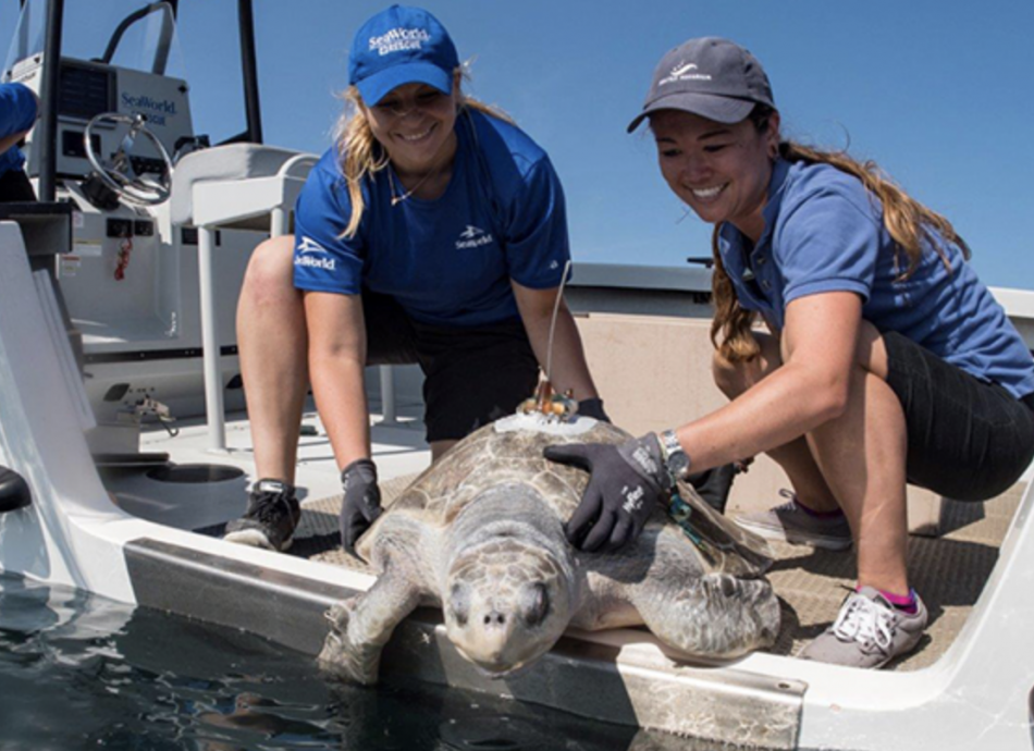 SeaWorld San Diego