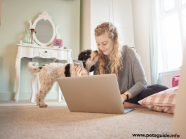 The Top 5 Reasons People Don't Have Pet Insurance