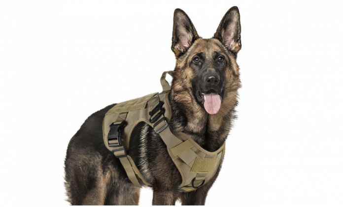 How does a tactical dog harness work