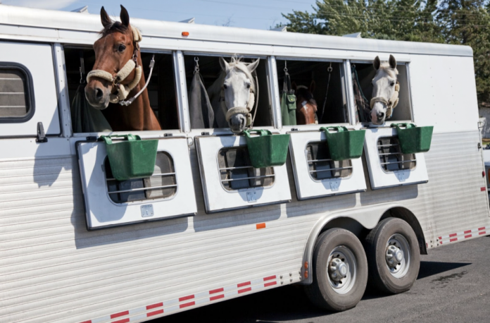 How To Keep Your Horse Safe While Towing