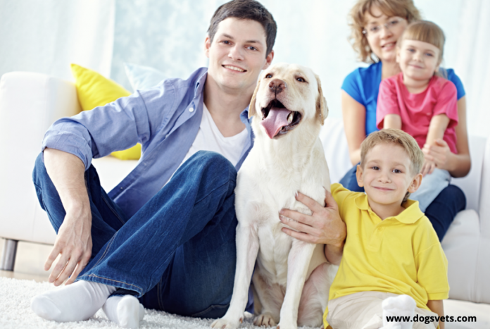 Dogs and Children: 5 Tips for a Harmonious Relationship