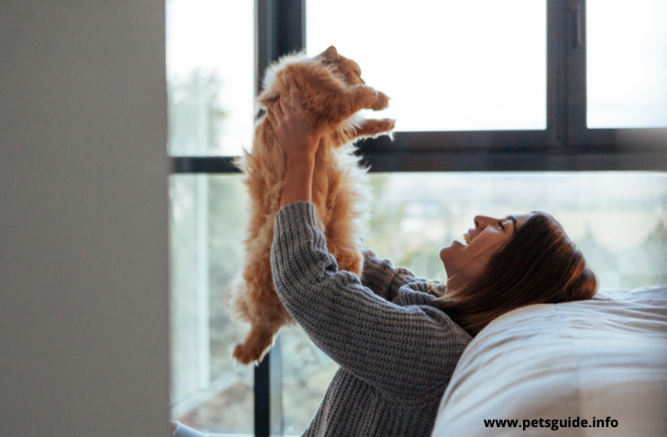Jak sprawić, by Twój kot był zdrowy i szczęśliwy