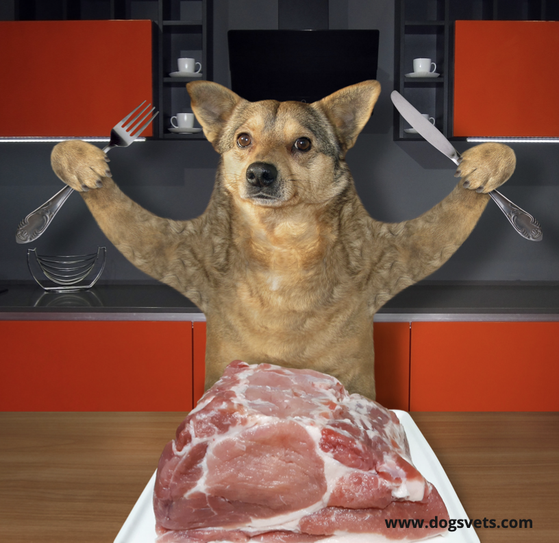 Raw meat meets the biological requirements of canines.
