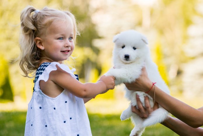 Welcoming Your New Puppy Home: How to Care for Them
