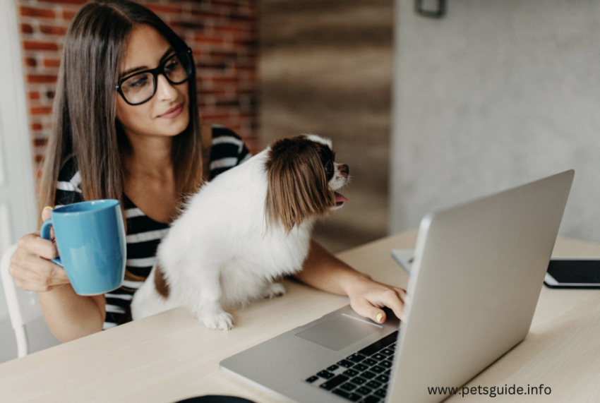 5 Reasons Going Pet-Friendly Is Good for Your Employees' Wellbeing