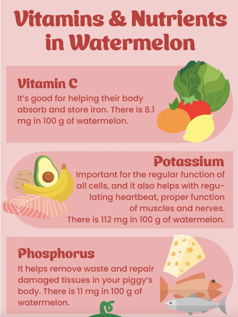 Can Guinea Pigs Eat Watermelon Seeds