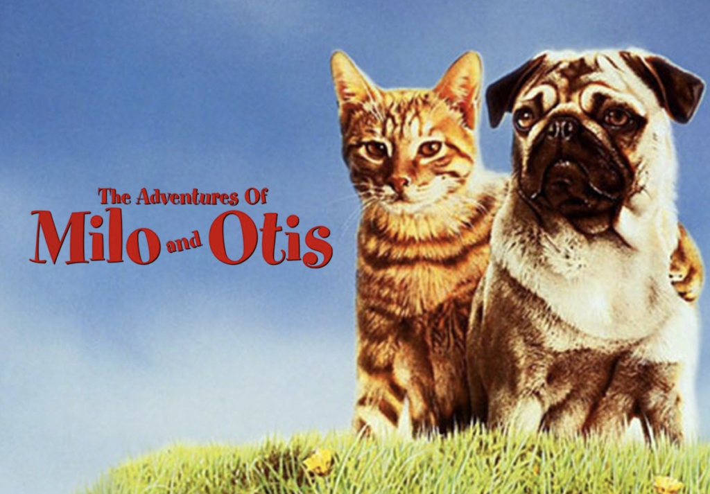 The Adventures Of Milo And Otis