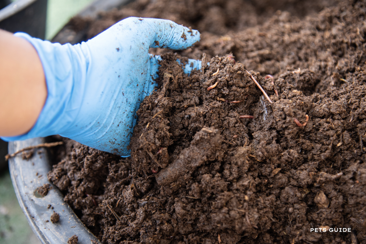 How to Build a Bath Tub Worm Farm - Step by Step