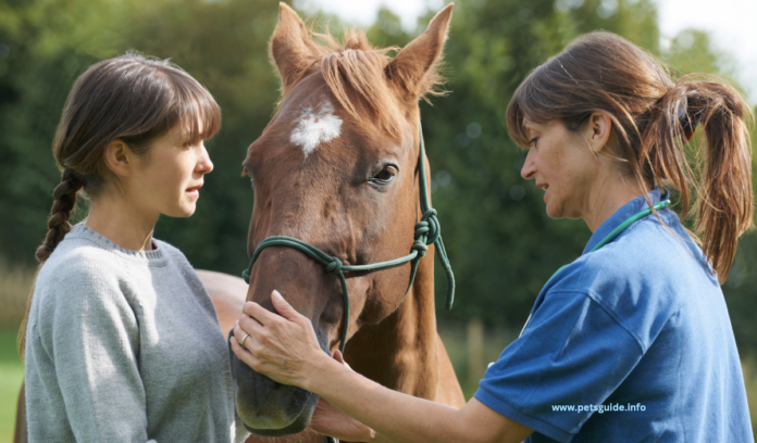 Natural Medicine for Horses: Treating Equine Anxiety, Pain & More