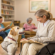 The Benefits of Animal-Assisted Therapy