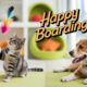 How Do I Know If My Pet Will Be Comfortable in a Boarding Facility?